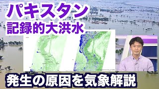 【パキスタン記録的大洪水】発生の原因を気象解説／Pakistan weather floods climate