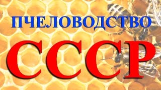 Пчеловодство СССР. Высокий уровень производства мёда.