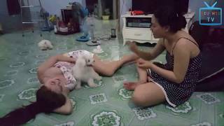 Top Funny Dog Vs Girl In the world 2017 ?