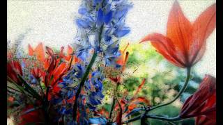 Teemu T - Elsewhere