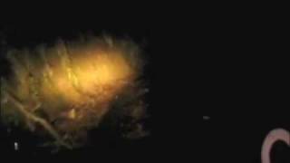恐怖の遭遇！真夜中山林での衝撃瞬間！！