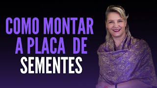 Como fazer para montar uma placa de sementes adequada