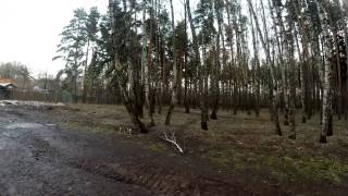 МЕЩЕРСКИЙ ПАРК