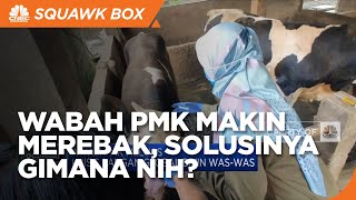 Benarkah Wabah PMK Karena Kontaminasi Daging Impor? Ini Penjelasan KSP