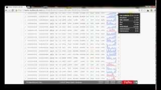 わずか7日で利益率40％突破 Forex Fortune Cat - FX自動売買（EA；Expert Advisor；エキスパートアドバイザー）