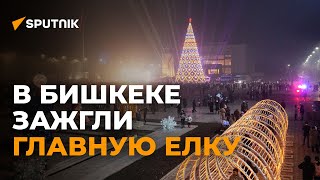 Эффектно! В Бишкеке зажгли главную елку страны