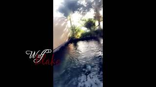 Giselle | Update