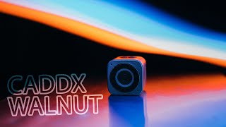 Сешн, ты ли это?! 4K, IP67, полный ФАРШ! [Caddx Walnut]