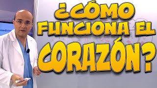 CORAZÓN ¿cómo funciona? - Cuerpo Humano #2