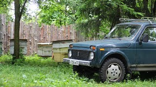 КОЧЁВКА ПЧЁЛ НА БЛИЗКОЕ РАССТОЯНИЕ.