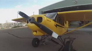 Top Cub flight