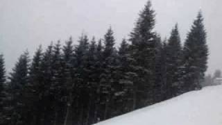 Спуск 16C - Буковель 2010