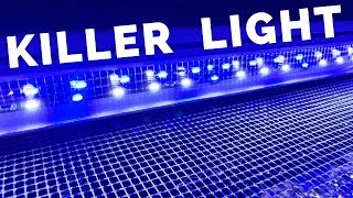 Best LED saltwater aquarium light on a budget - Finnex Marine+ II saltwater aquarium Light review