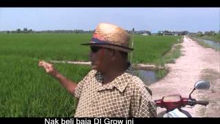 {Testimoni 1} Penggunaan baja digrow pada tanaman