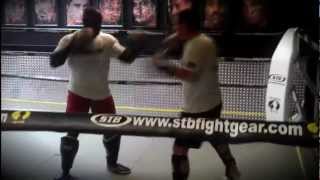 Kik boks trening, KBK Sindjelic u Holandiji
