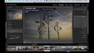 How to Move Lightroom to a New Computer
