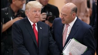 White House Adviser: Trump Has IQ of Inbred Tanning Bed