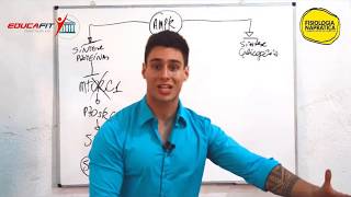 Educafit e Bom? Como funciona o Educafit?  - Treinamento Para Profissionais de Educação Física