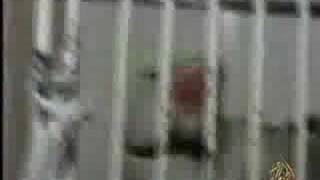 Parrot Reading Quran