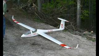 DG-1000 S 1:4 scale ( 5 m )