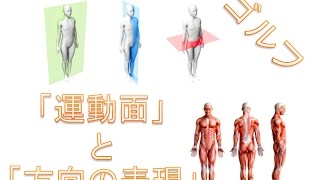 身体の動きシリーズ　その２　運動面と方向の表現