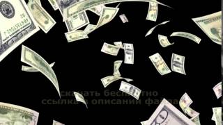 Звуковой переход ПАДЕНИЕ ДОЛЛАРА футаж выкуп невесты свадьба бизнес transition DOLLAR free download