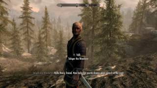 Skyrim - Random Encounter Talsgar the Wanderer