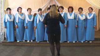 46131 Хор ветеранов труда Русская песня ДК Волга г  Балахна песня Вьюга