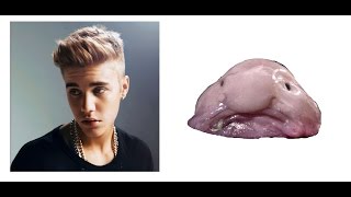 Turning Blobfish into Justin Bieber