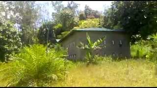 Suara Panggil Burung Walet Yang Dasyat 10/08/2013/758