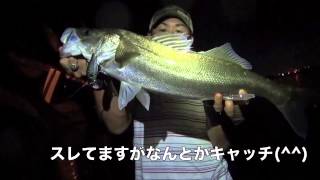 BIOCRUISE Slow Shad75F