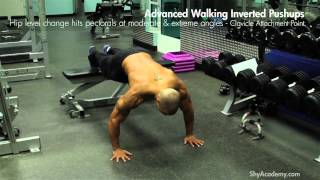 CHEST & SHOULDERS - Advanced Inverted Walking Pushups