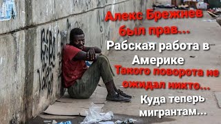 Америка по уши в болоте Как тут живут бедные Американцы Реальная жизнь иммигрантов Алекс Брежнев...