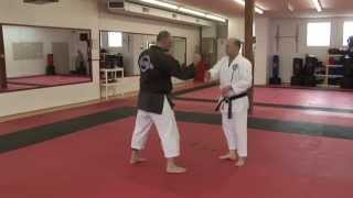 Enter, Intercept, Trap & Impact - DVD Troy J. Price Action Clips Part-2