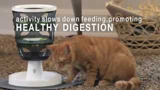 Catit Design Senses FOOD MAZE - интерактивная игрушка для кошек