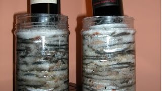 ОДНИМ ДВИЖЕНИЕМ РУКИ КИЛЬКА ПРЕВРАЩАЕТСЯ В ДЕФИЦИТНЫЕ АНЧОУСЫ
