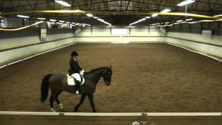 Lok dressyr Mariestad 3/4-11