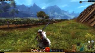 Guild Wars 2 - Max Settings Gameplay (MSI GTX 1060 Gaming X)