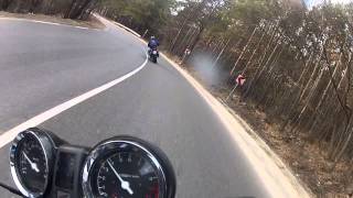 Hornet chasing Hornet