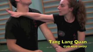 螳螂拳 Tang Lang Quan - Cuo Nuo Shou