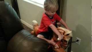 Toren not exercising on horse