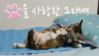 발을 사랑하는 꾸미 / cat who loves her feet