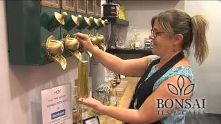 Video Bonsai Tés & Cafés HD