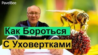 № 125 Как Бороться с Уховёртками,Пчелиный эксперимент Пчеловодство для начинающих Пасека