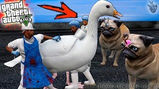 ГТА 5 МОДЫ! ГУСЬ МУТАНТ И МЕГА МОПСЫ ПРОТИВ ЖИВОДЕРОВ ГТА 5! ОБЗОР МОДОВ ИГРЫ GTA V! GTA 5 MODS #269