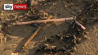 The 'straw snatcher' is after your plastic