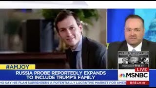 Dworkin: Kushner should be in jail, not the White House