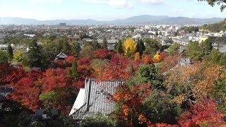 京都　紅葉の永観堂禅林寺の境内　2013年　Eikan-do Zenrin-ji (temple) of autumn leaves