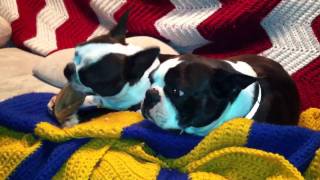 Berny wants Jethro's boned