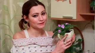 Фиалки из полимерной глины! Как настоящие!